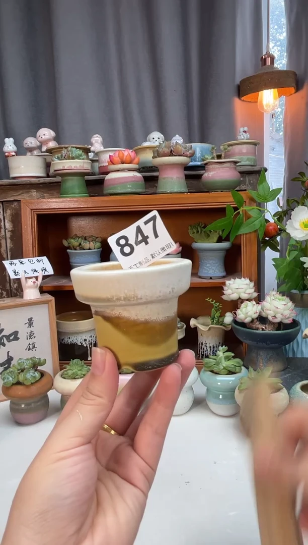 瓷片847知木小芳花盆知