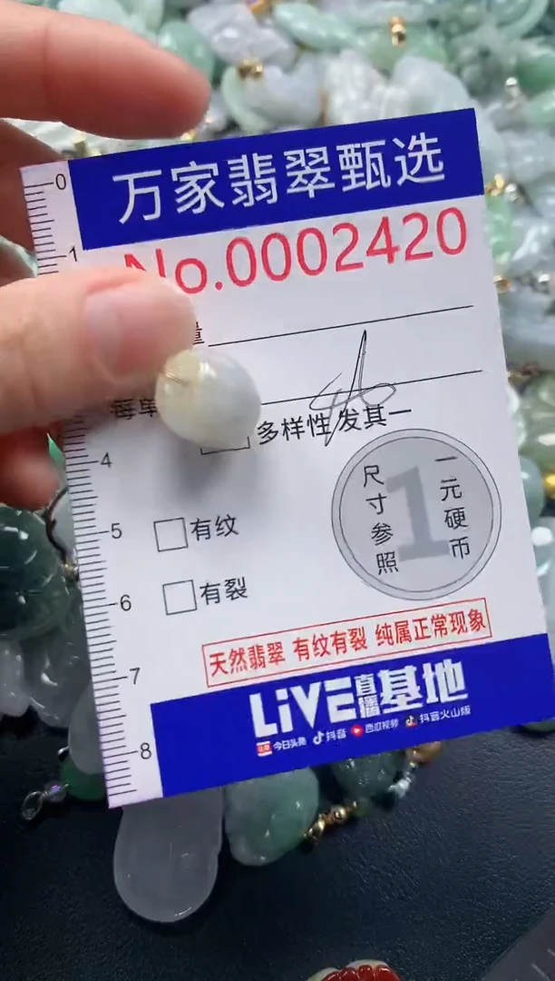 吊坠(不含链)未镶嵌翡翠2420