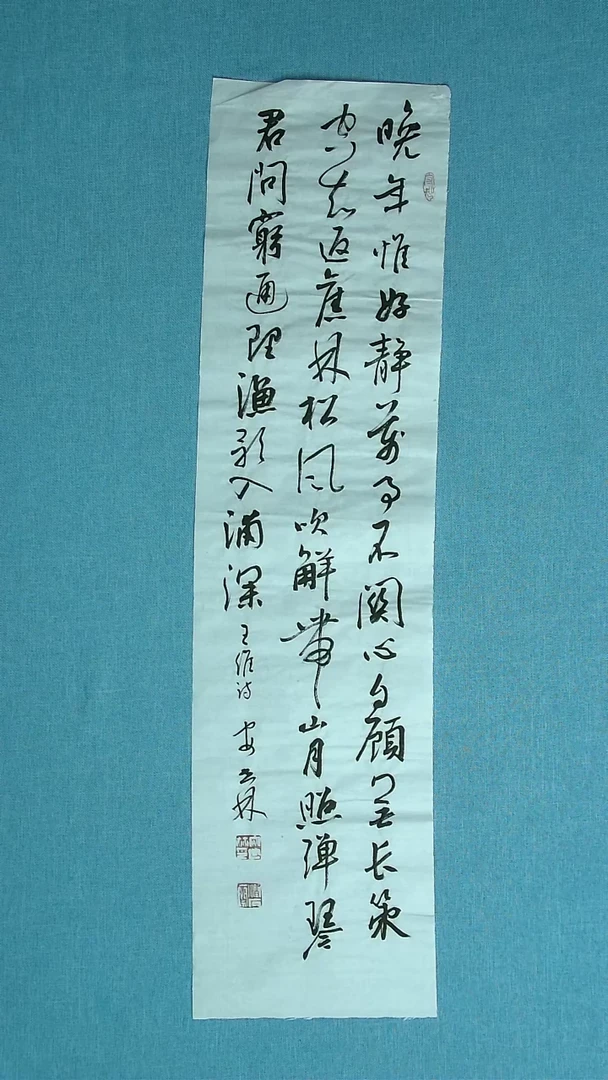 【闪购商品】书法127 甘肃安世林中书协90*23