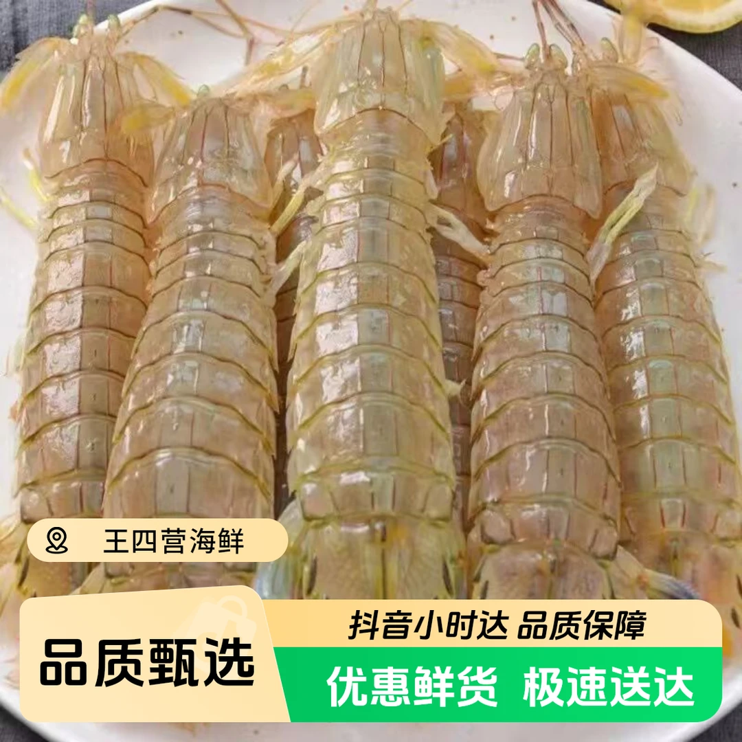 【特惠】保鲜皮皮虾（加冰发出）