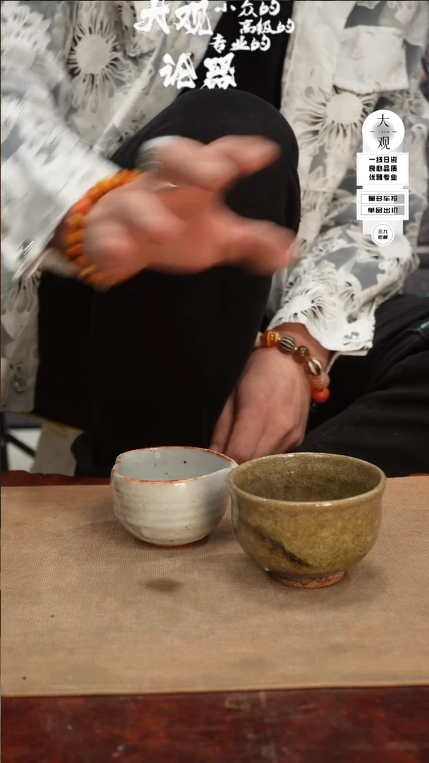 【闪购商品】瓷片大观论器两只