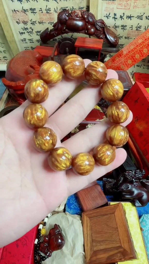 木海2.0直播推荐直播推荐
