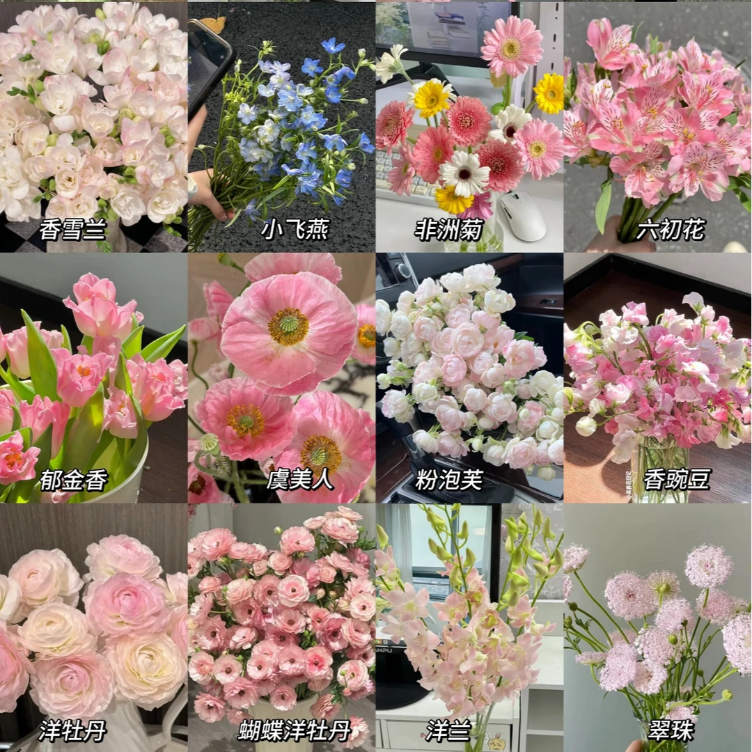 【云舍花卉】草花小盒【任意两份草花】全场鲜花任意满两单及以上包邮