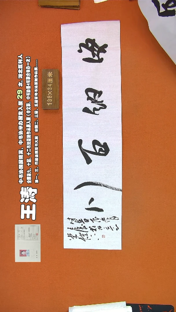 【闪购商品】书法380王涛书法作品