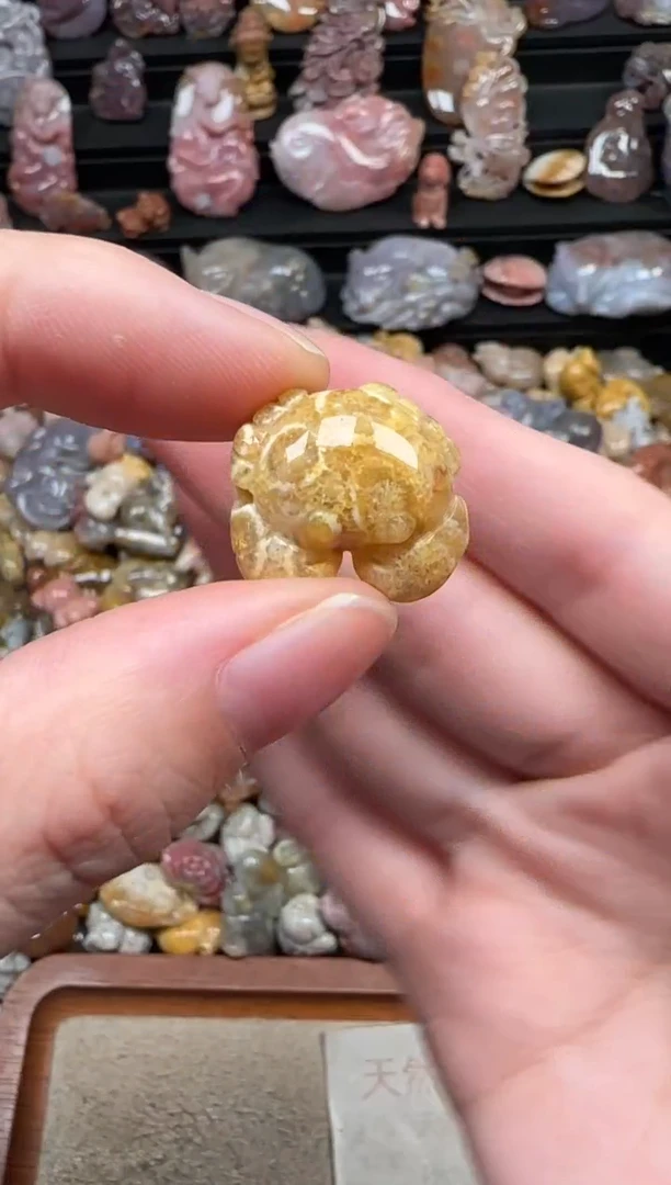 颈饰未镶嵌硅化珊瑚（珊瑚玉）014