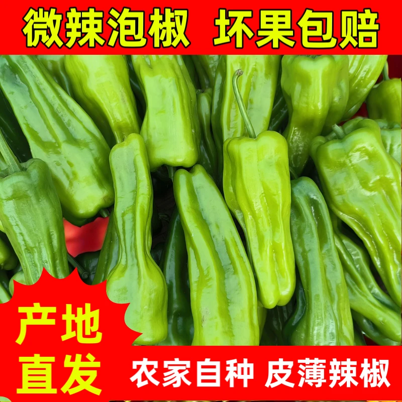 【微辣青椒】新鲜青辣椒薄皮椒微辣泡椒芜湖椒虎皮椒苏椒海椒