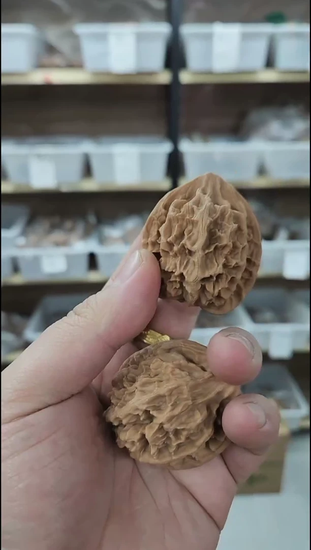 把件核桃福利【秦岭鸡心】山地果老树#408160