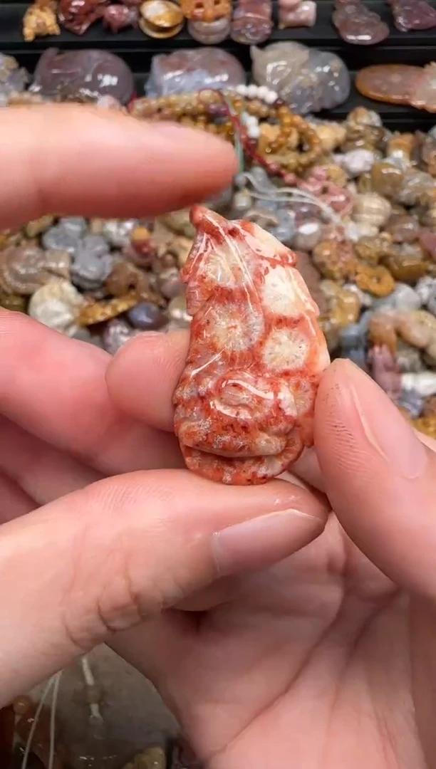 硅化珊瑚（珊瑚玉）未镶嵌颈饰108