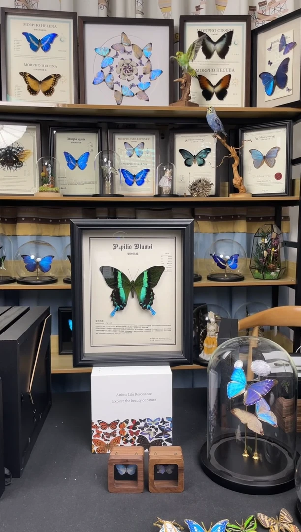 爱神凤蝶-中文版【10寸欧式框】