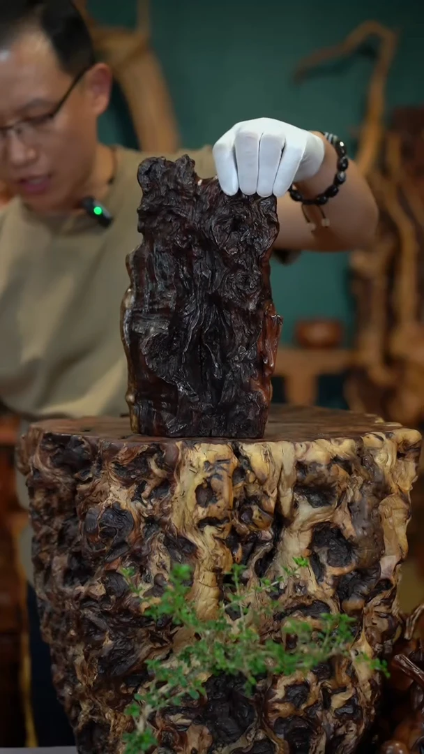 枣木雷击枣木半壁江山