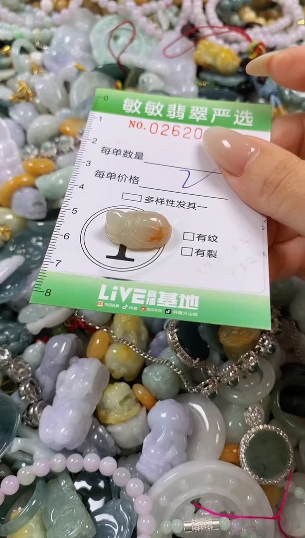 翡翠未镶嵌颈饰闪购0262004