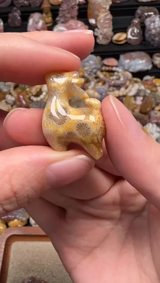 颈饰未镶嵌硅化珊瑚（珊瑚玉）655