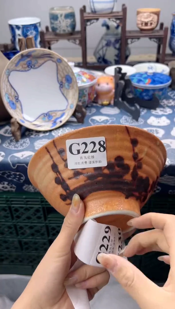 瓷片?****️    G228