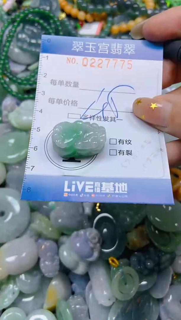 颈饰未镶嵌翡翠闪购C0227775