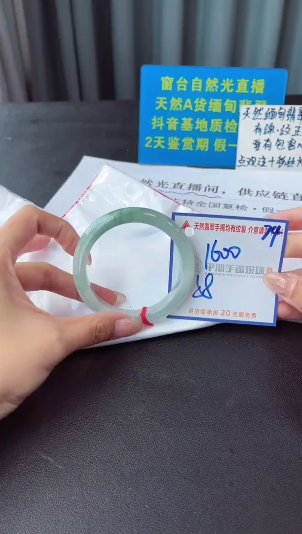 未镶嵌手镯翡翠11111