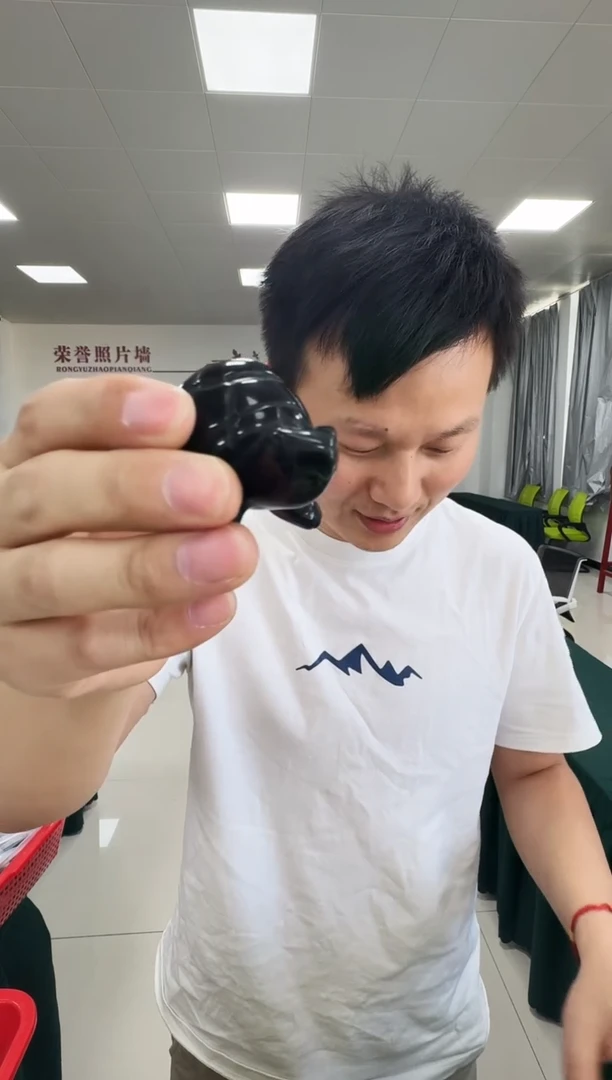 未镶嵌黑曜岩珠宝奇石w9156 摆件