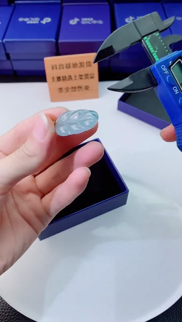 翡翠未镶嵌颈饰1