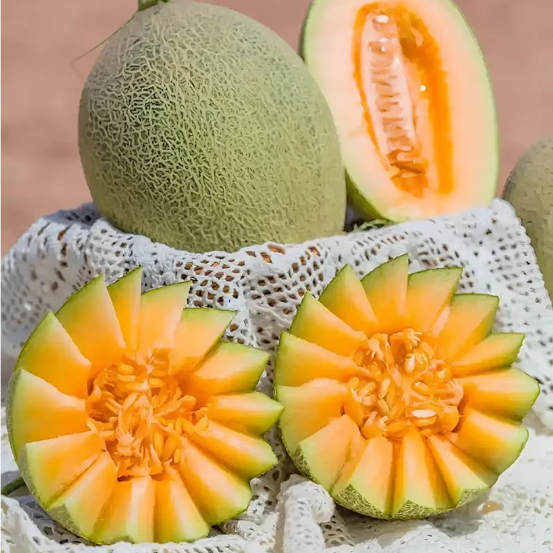 海南沙蜜甜瓜1个   约3斤