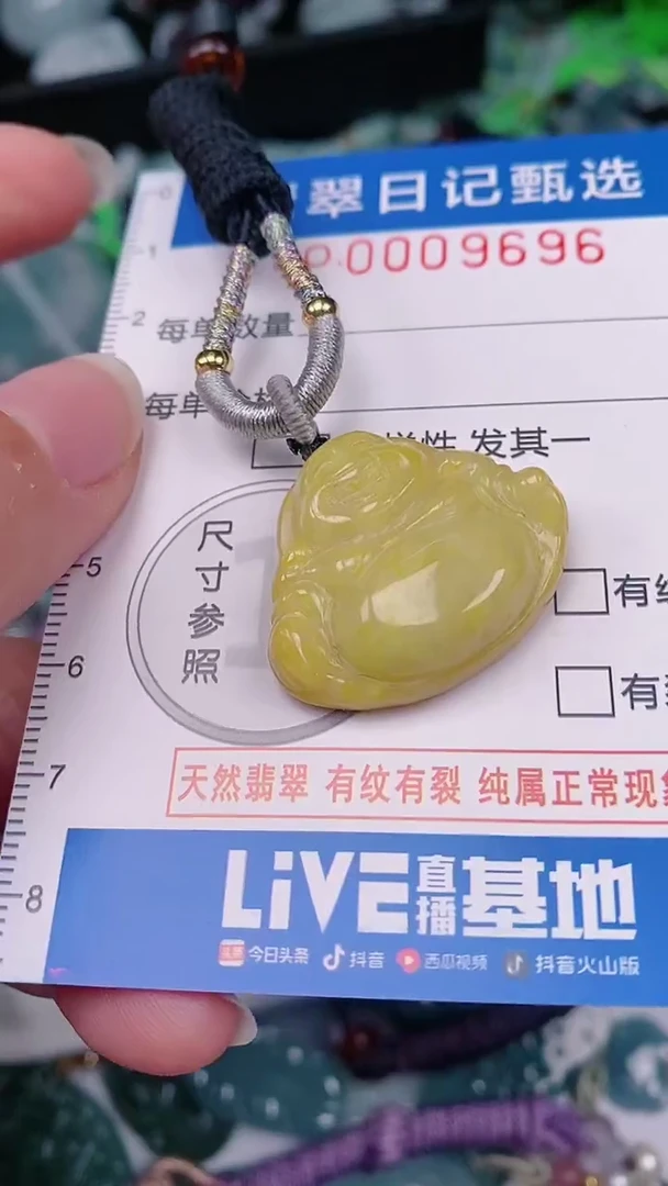 【闪购商品】翡翠颈饰未镶嵌00009696