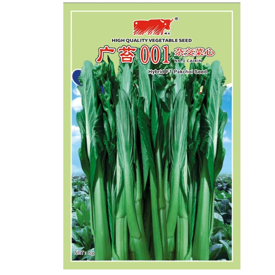 广苔001杂交菜心苔种子（净含量：2000粒）