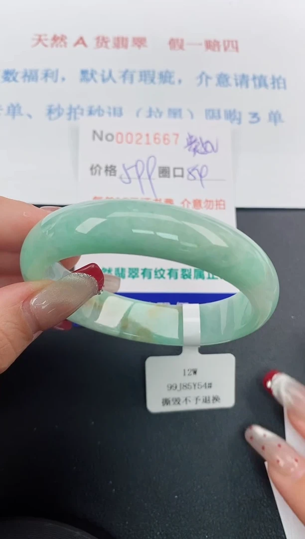 【闪购商品】翡翠手镯未镶嵌天然A货翡翠未镶嵌0021667