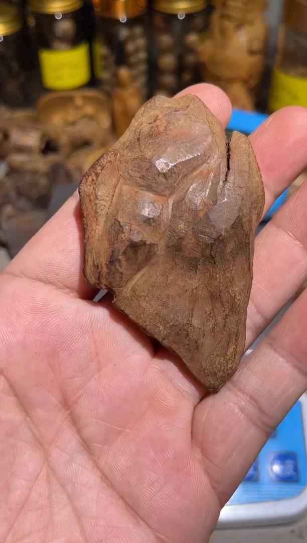 沉香沉香碎屑大*果 加里曼丹土沉九九沉9.6（克）