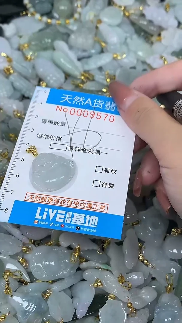 翡翠未镶嵌颈饰净货挂件-9570