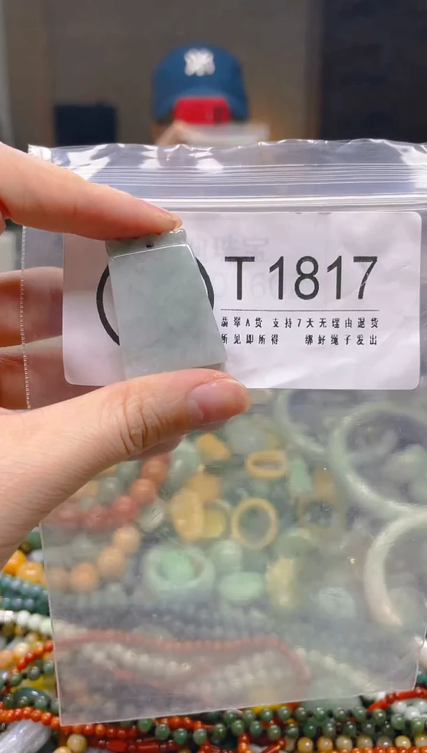 翡翠未镶嵌颈饰/T/翡翠A货一图一物