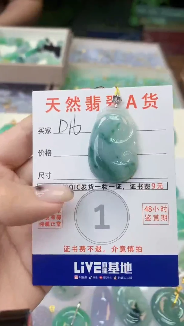颈饰未镶嵌翡翠天然A货翡翠挂件