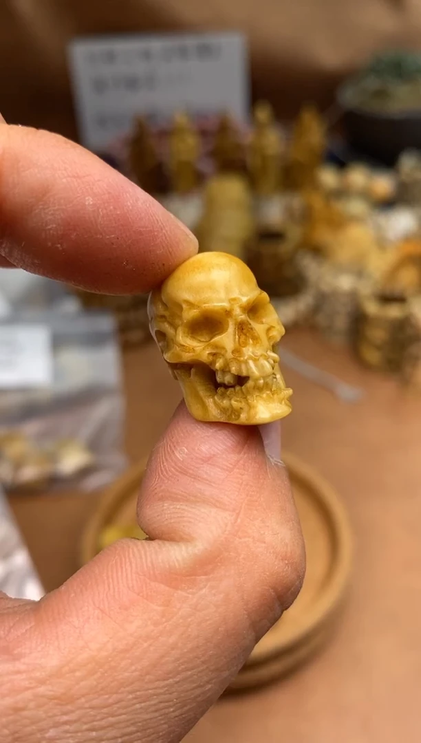 【闪购商品】其他鹿骨P1239-鹿角尸驼林