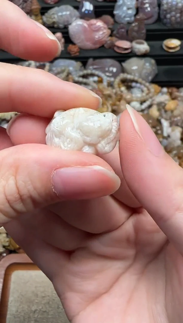 颈饰未镶嵌硅化珊瑚（珊瑚玉）002