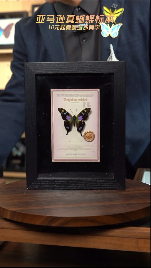 玫瑰青凤蝶设计款8寸黑框