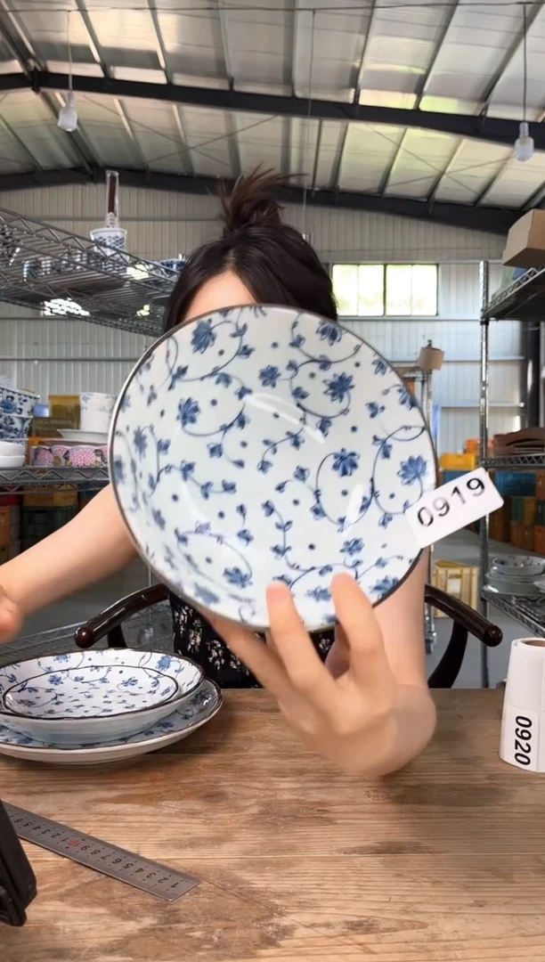 瓷        919号19*6.5