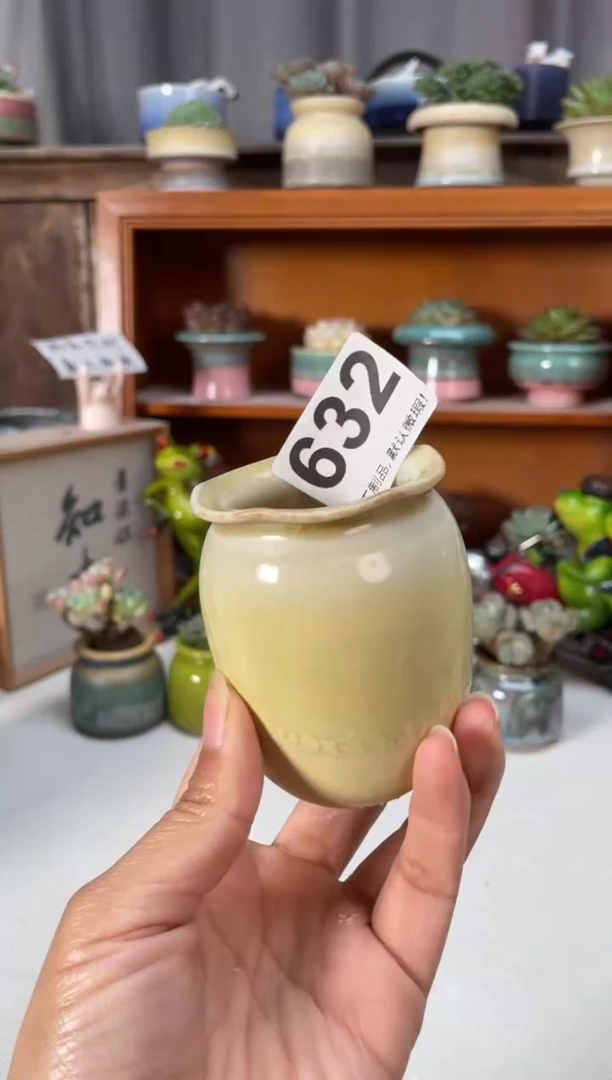 瓷片632小芳直播编号