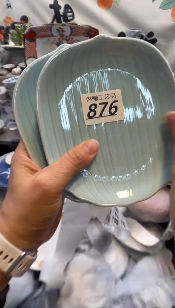 瓷片宁876