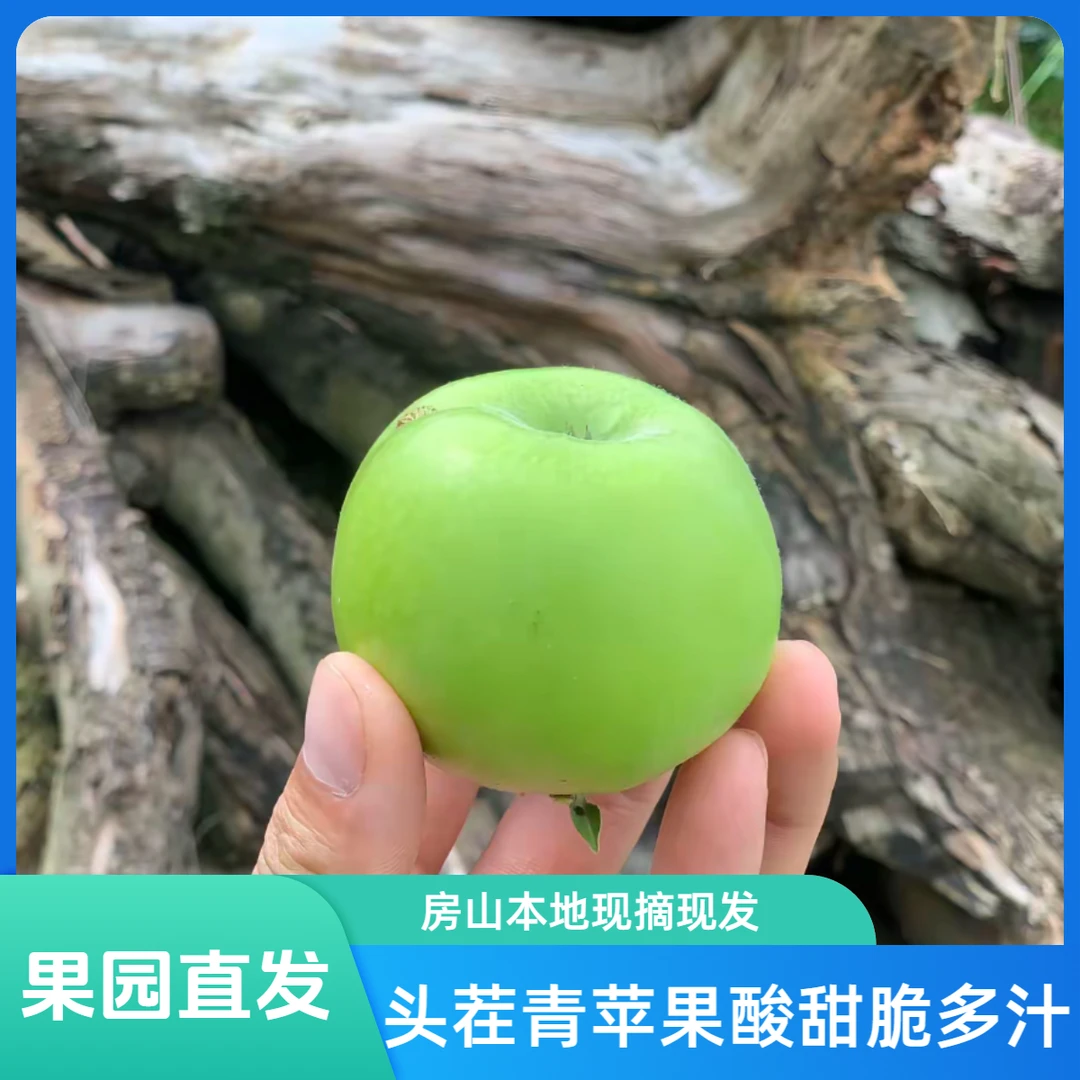头茬青苹果 酸甜脆爽口多汁 儿时的味道 房山本地现摘现发 3斤/4斤（±2两）顺丰次日达北京市