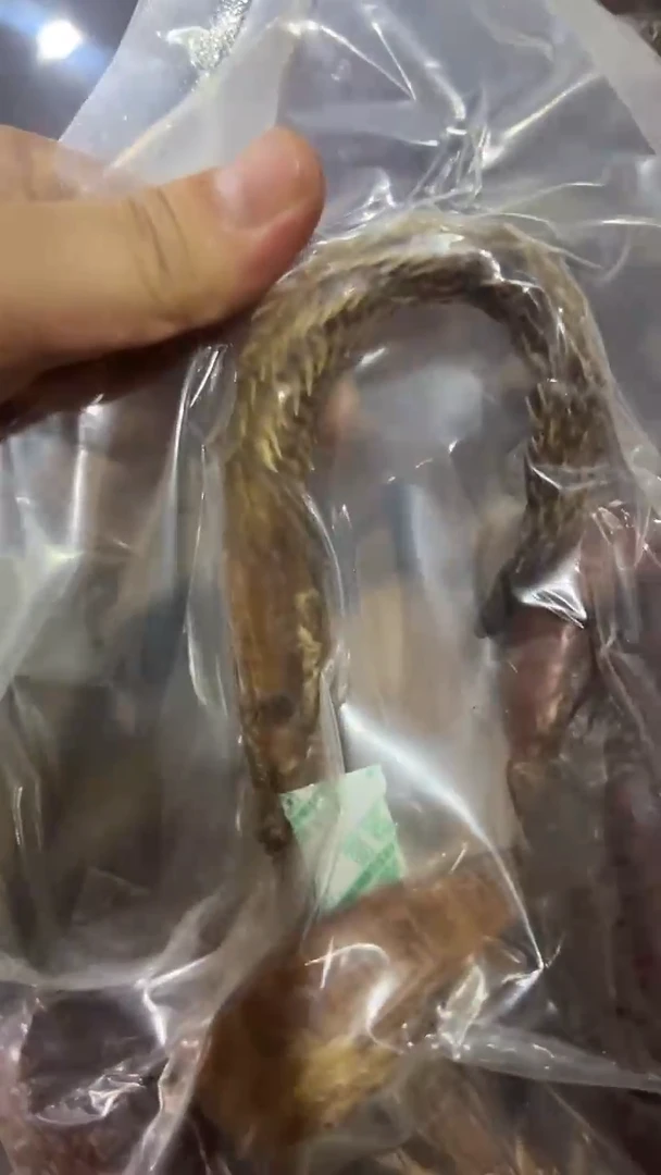 茶杯紫砂紫砂紫砂紫砂紫砂
