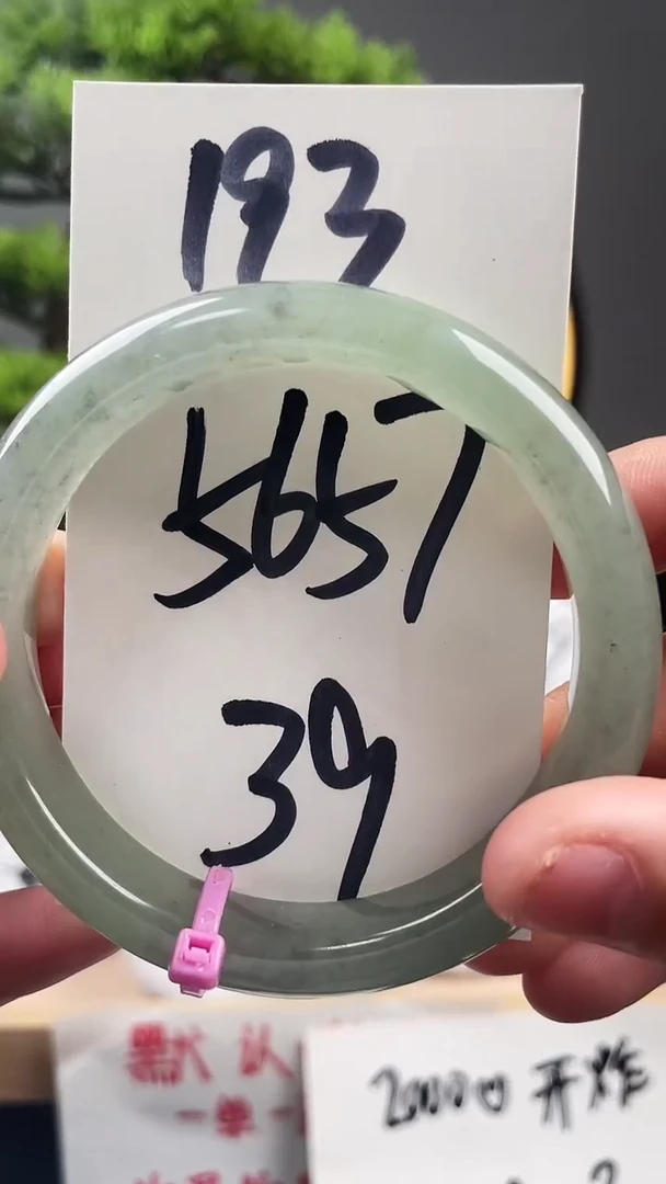 未镶嵌手镯石英质玉193