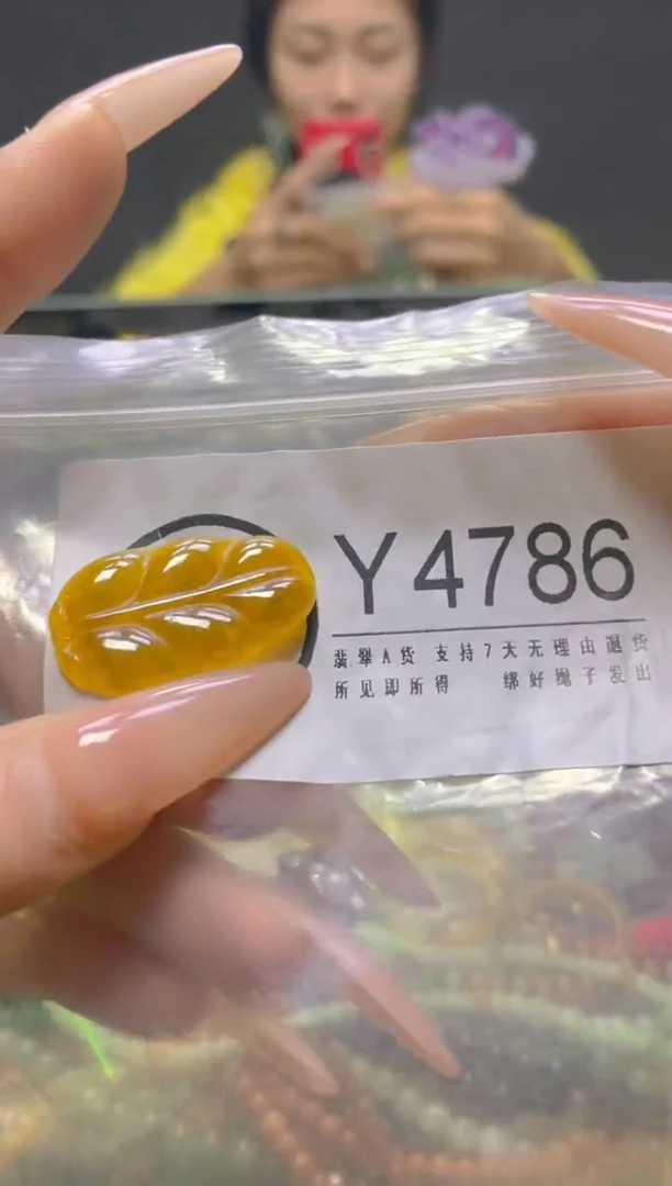颈饰未镶嵌翡翠/Y/翡翠A货，一件也是批发价