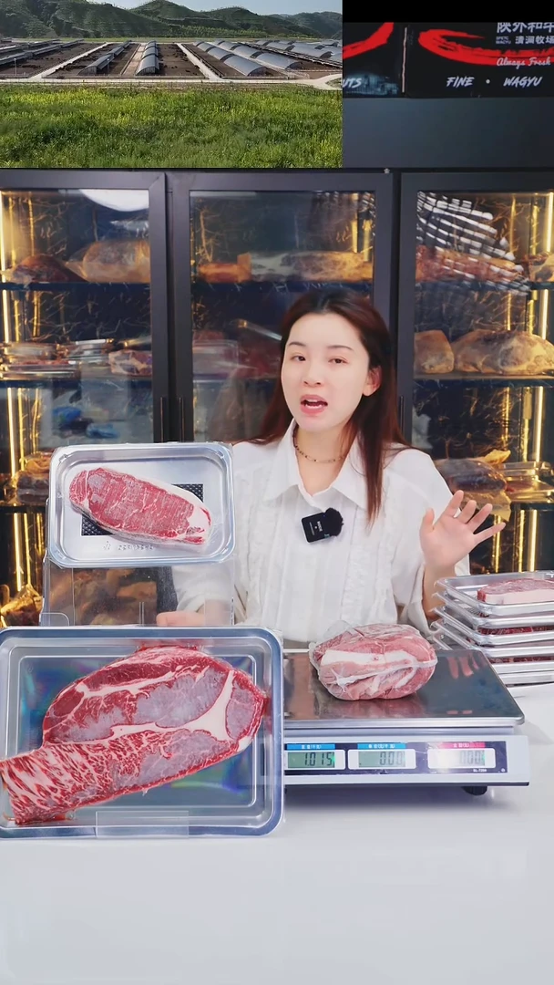 24中国大陆和牛牛腩1KG