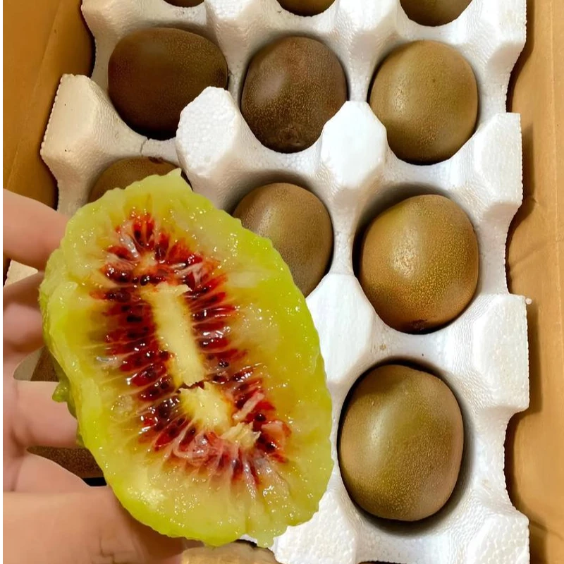 【正宗】红心猕猴桃贵州修文奇异果纯甜新鲜当季水果维C花青素