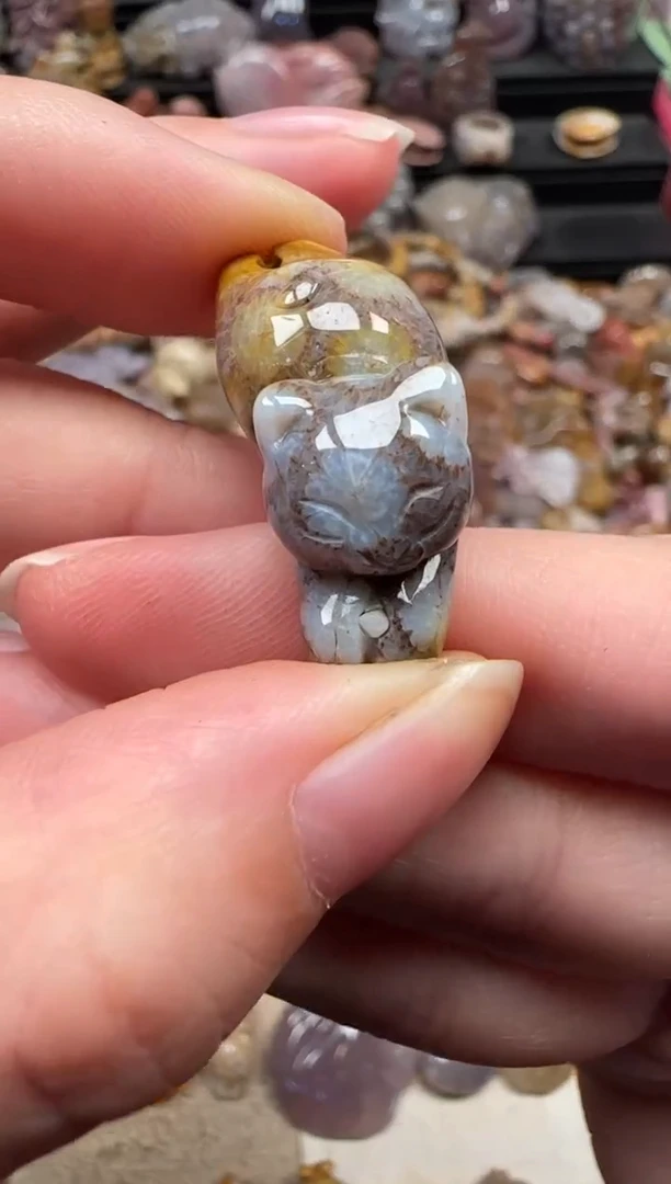 颈饰未镶嵌硅化珊瑚（珊瑚玉）617