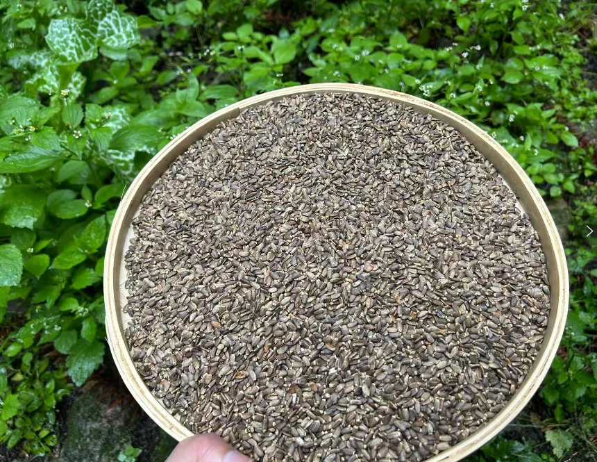 1【水-飛-蓟】净含量250g-1000g【阿婷现收】非菇类