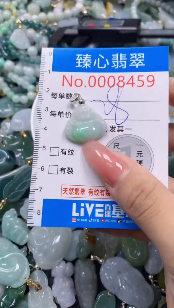 翡翠未镶嵌颈饰8459