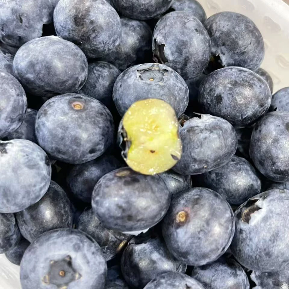 蓝莓 云南蓝莓【140g/1盒 一组果径21mm左右】蓝莓同城送云南省