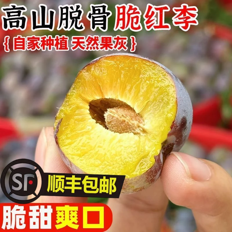 m【顺丰京东包邮】正宗汶川高山脱骨李 珍珠脆红李小时候的味道