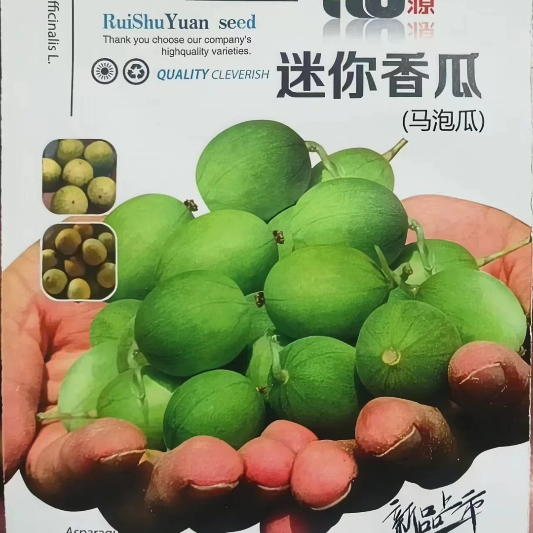 迷你香瓜种子马泡瓜阳台盆栽小西瓜籽