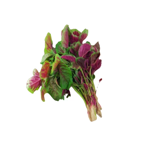 无品牌新鲜红油菜一份