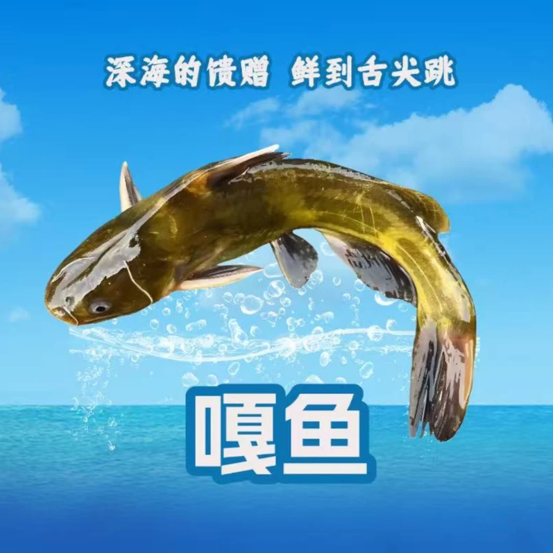 【新鲜】活嘎鱼55元3斤
