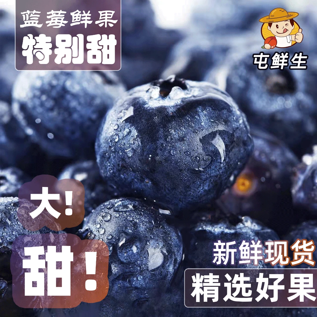 丹东蓝莓纯甜果香浓郁应季鲜果125g/盒包邮